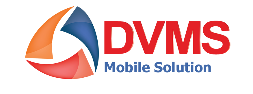 DVMS Co., Ltd